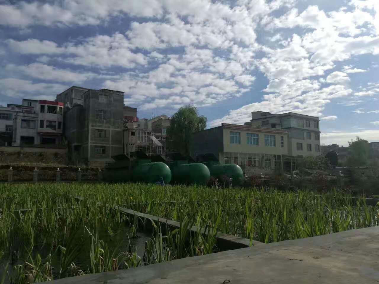mmexport1495093954093.jpg