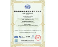 職業(yè)健康安全管理體系認證證書